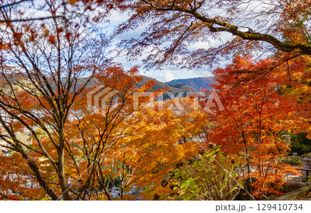 もみじ寺　茨城県 129410734