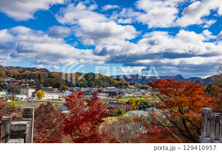 もみじ寺　茨城県 129410957