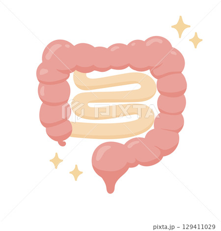 かわいい手描き風の健康的な腸イラスト素材 — 腸内環境と消化吸収の元気なイメー 129411029