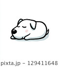 正面を向いた犬のイラスト 129411648