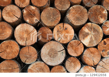Closeup of logs of trees in nature. a lot of cutted logs. Closeup of logs of trees in nature. a lot of cutted logs. 129412038