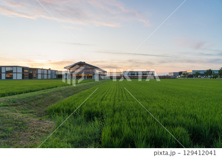 夕方のスイデンテラス 129412041