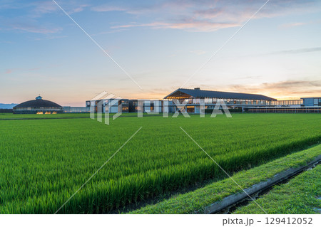 夕方のスイデンテラス 夕方のスイデンテラス 129412052