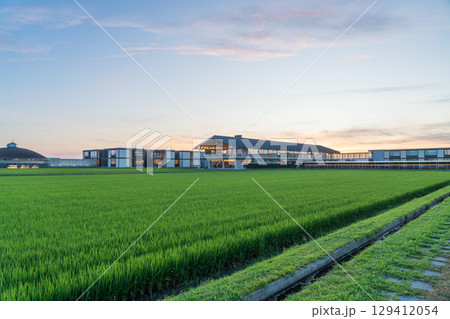 夕方のスイデンテラス 129412054