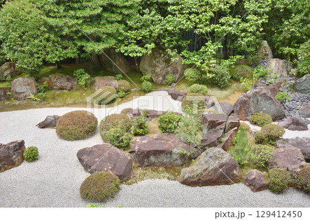 退蔵院の庭 129412450