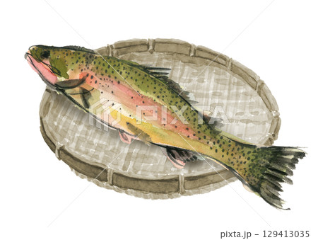 水彩で描いたザルに盛った虹鱒一尾 のイラスト素材【手描き】白バック 切り抜き用 コピースペース 水彩で描いたザルに盛った虹鱒一尾 のイラスト素材【手描き】白バック 切り抜き用 コピースペース 129413035