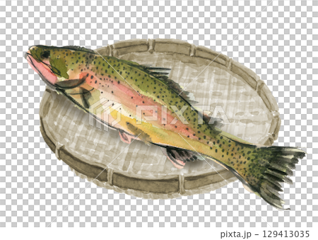 水彩で描いたザルに盛った虹鱒一尾 のイラスト素材【手描き】白バック 切り抜き用 コピースペース 水彩で描いたザルに盛った虹鱒一尾 のイラスト素材【手描き】白バック 切り抜き用 コピースペース 129413035