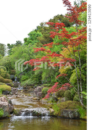 退蔵院の水辺の紅葉 129413090