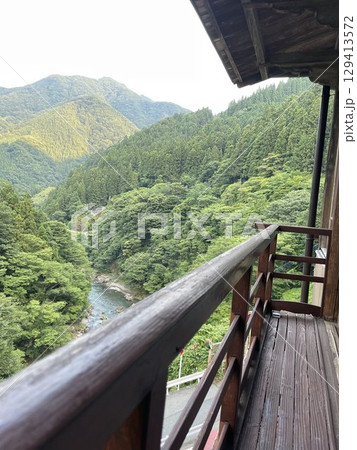 バルコニーから見える森林 129413572