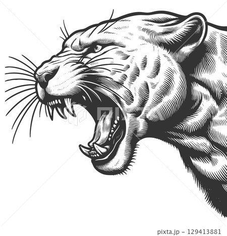 Roaring panther engraving vector illustration 129413881