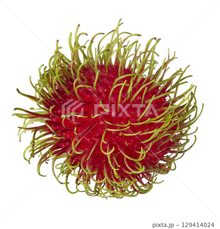 Rambutan fruit isolated on a white background Rambutan fruit isolated on a white background 129414024