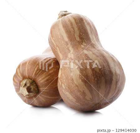 Pumpkin Butternut Squash isolated on a white background Pumpkin Butternut Squash isolated on a white background 129414030