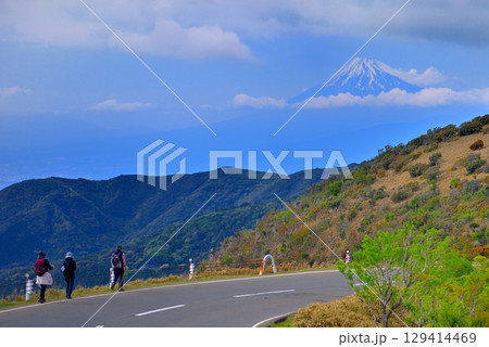 中部地方・伊豆半島・達磨山登山口、西伊豆スカイラインを通るハイキングコース・静岡県伊豆市土肥(1) 中部地方・伊豆半島・達磨山登山口、西伊豆スカイラインを通るハイキングコース・静岡県伊豆市土肥(1) 129414469