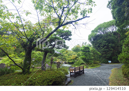 葉山しおさい公園の夏 葉山しおさい公園の夏 129414510