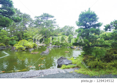 葉山しおさい公園の夏 129414512