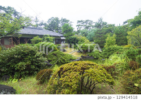 葉山しおさい公園の夏 129414518