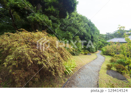 葉山しおさい公園の夏 129414524