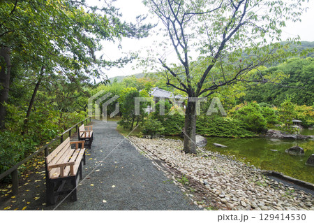 葉山しおさい公園の夏 129414530
