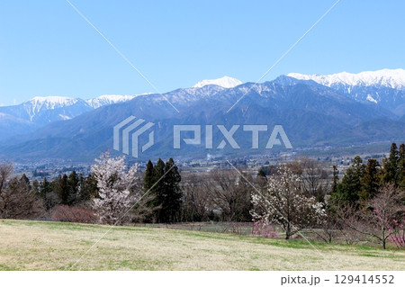 4月の北アルプス展望美術館からの北アルプス　　　信州の山々　　　春の北アルプス 129414552