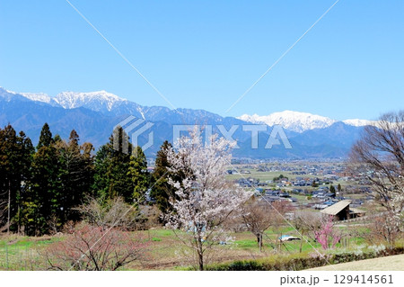 4月の北アルプス展望美術館からの北アルプス 信州の山々 春の北アルプス 4月の北アルプス展望美術館からの北アルプス 信州の山々 春の北アルプス 129414561