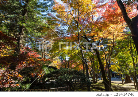 紅葉のある風景 紅葉のある風景 129414746