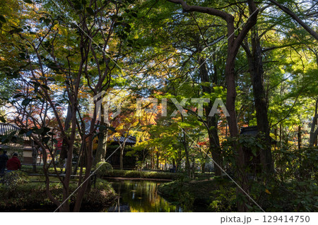紅葉のある風景 129414750