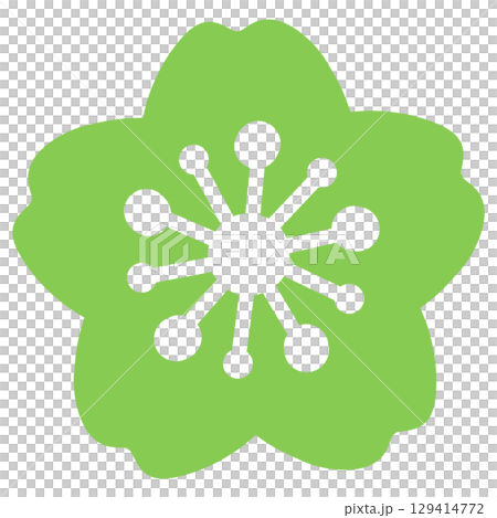Simple yellow-green cherry blossom illustration 129414772