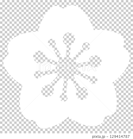 White simple cherry blossom illustration 129414787