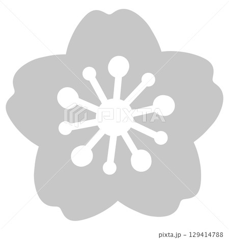 グレーのシンプルな桜のイラスト 129414788