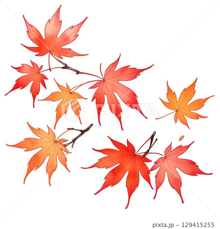 鮮やかな紅葉の水彩 鮮やかな紅葉の水彩 129415255