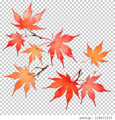 鮮やかな紅葉の水彩 鮮やかな紅葉の水彩 129415255