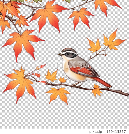 一隻形狀各異的山雀在秋葉的映襯下休息 129415257