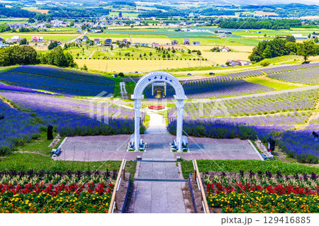 日の出公園展望台 (北海道　7月) 129416885
