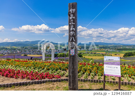 日の出公園展望台 (北海道　7月) 129416887