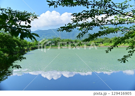 水草の菱に覆われた池に映り込む夏の空 水草の菱に覆われた池に映り込む夏の空 129416905