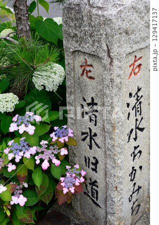 清水坂 清水坂 129417137