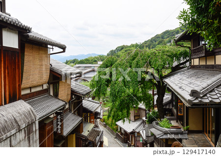 三寧坂　あけぼの亭　新緑の糸桜 129417140