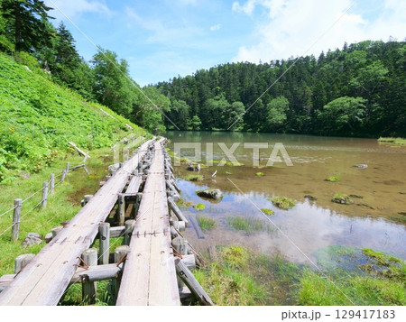 弥陀が池と湖畔の木道 129417183