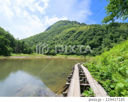 弥陀が池の木道から日光白根山 129417185