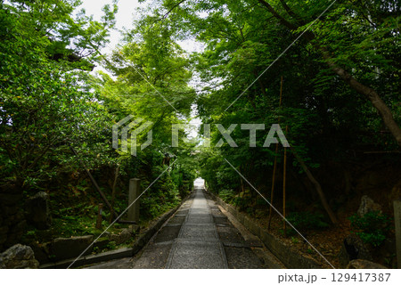 高台寺 参道の石段 高台寺 参道の石段 129417387