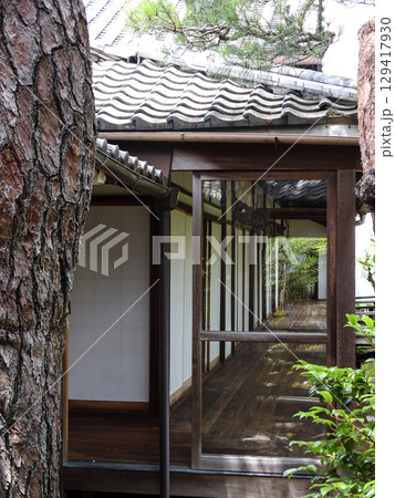 智積院　大書院 129417930