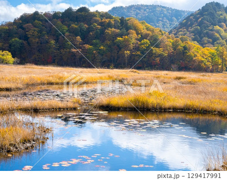 尾瀬水面に反射する青空 129417991
