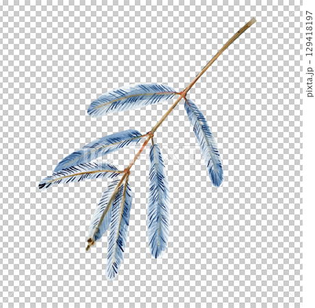 Christmas fir tree twig watercolor hand drawn illustration. The botanical illustration is isolated on a white background. 129418197