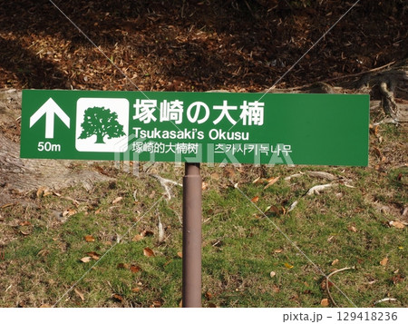 塚崎の大楠 塚崎の大楠 129418236