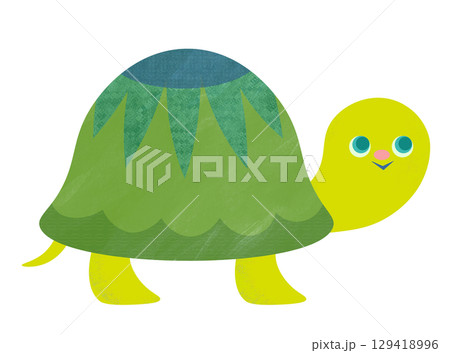 かわいいカメ 129418996