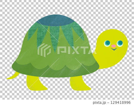 可愛的烏龜 可愛的烏龜 129418996