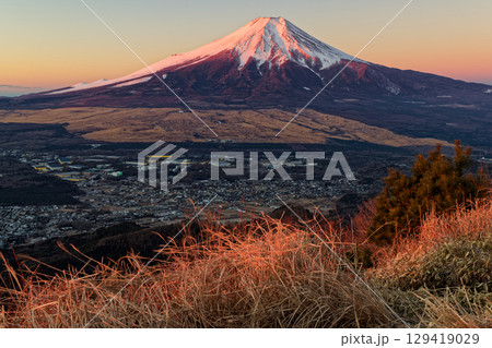 杓子山から見る朝日差す富士山 129419029