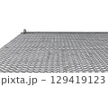 瓦屋根の上の鳥 129419123