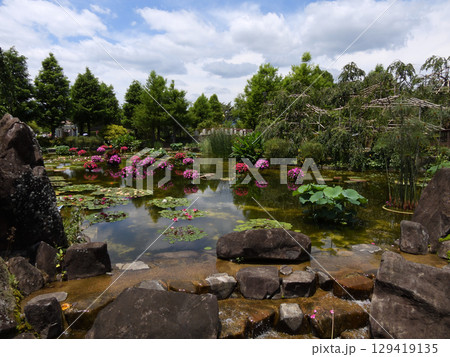 草津市立水生植物公園みずの森　花影の池 129419135