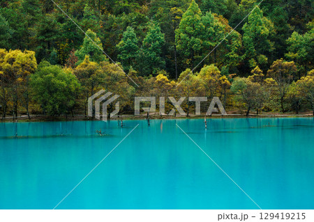 Turquoise Waters and Autumn Trees, Blue Moon Valley, Lijiang 129419215